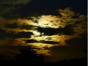 GPJ_210506595