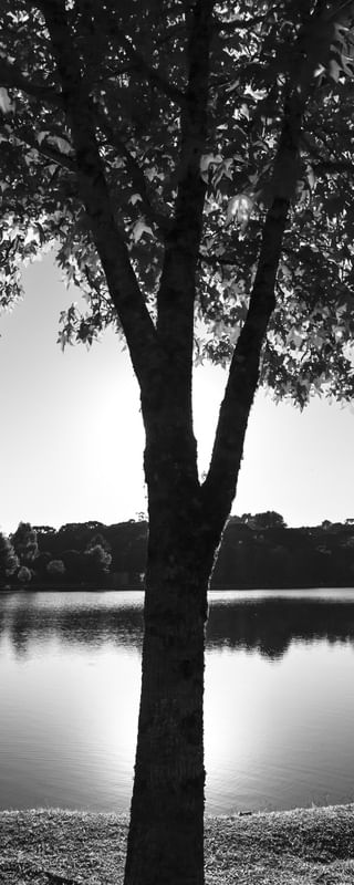 LAGO EM SÃO CHICO
