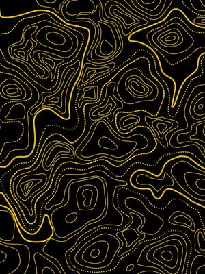 PRETO E DOURADO