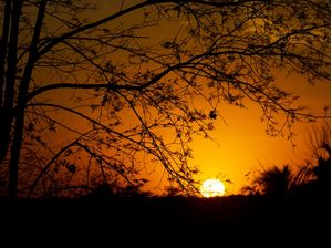 POR DO SOL 10