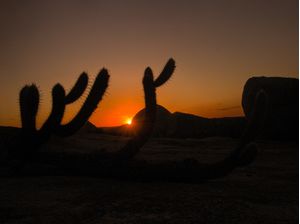 POR DO SOL NO SERTÃO 2