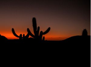 POR DO SOL NO SERTÃO 4