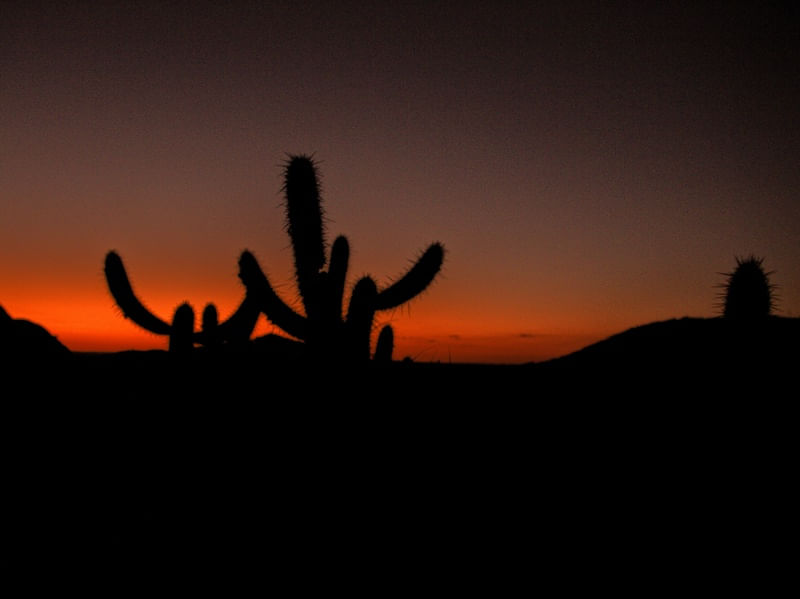 POR DO SOL NO SERTÃO 4