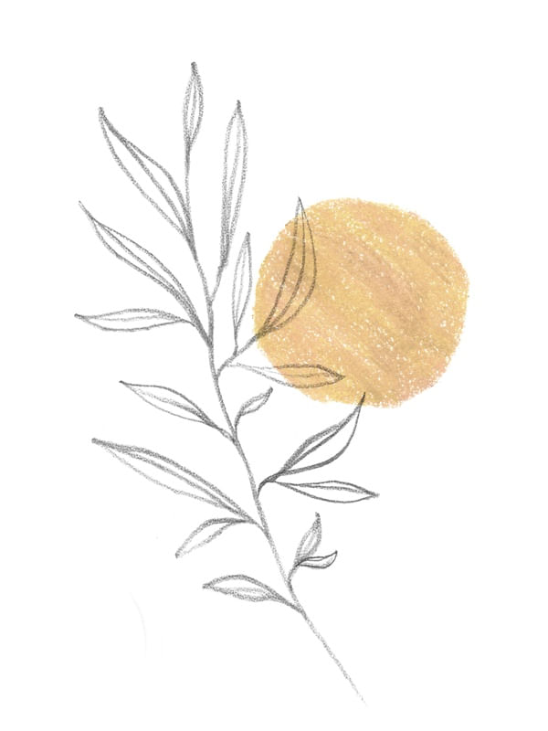 ABSTRACTION PLANT BRANCH