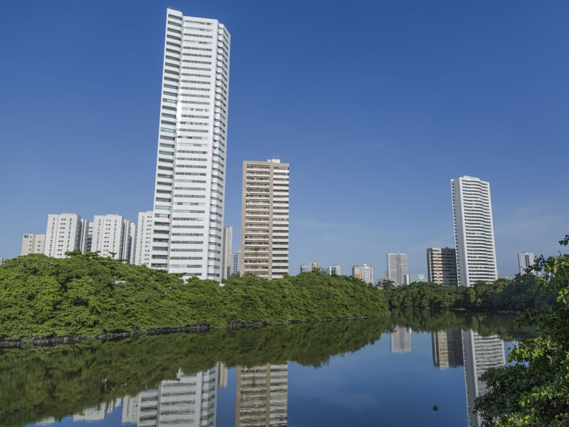 REFLEXO III
