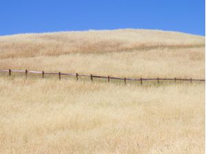 CAMPO SOBRE AS MONTANHAS DE SUNNYVALE