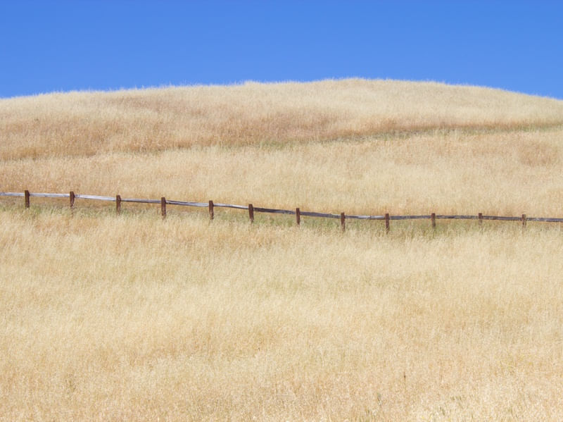 CAMPO SOBRE AS MONTANHAS DE SUNNYVALE