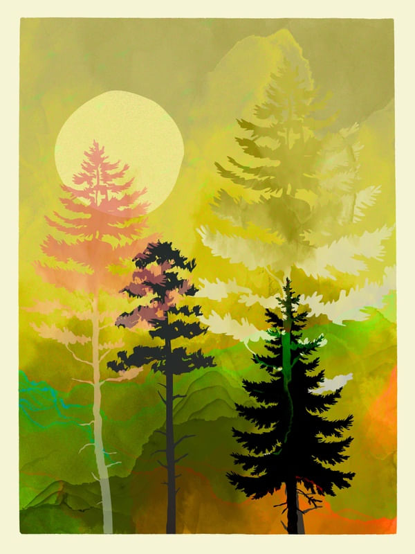 SPRING FOREST