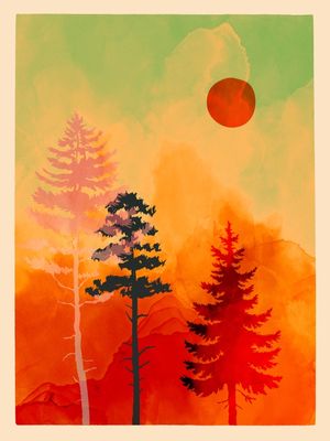 FOREST IN SUNSET