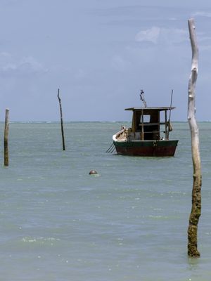 O MAR DE ALAGOAS