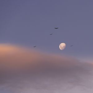 EU VOU PRO MUNDO DA LUA