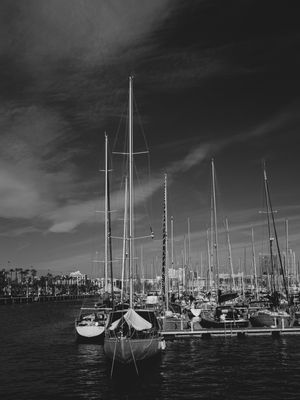 BARCOS - PORTO DE BARCELONA 2