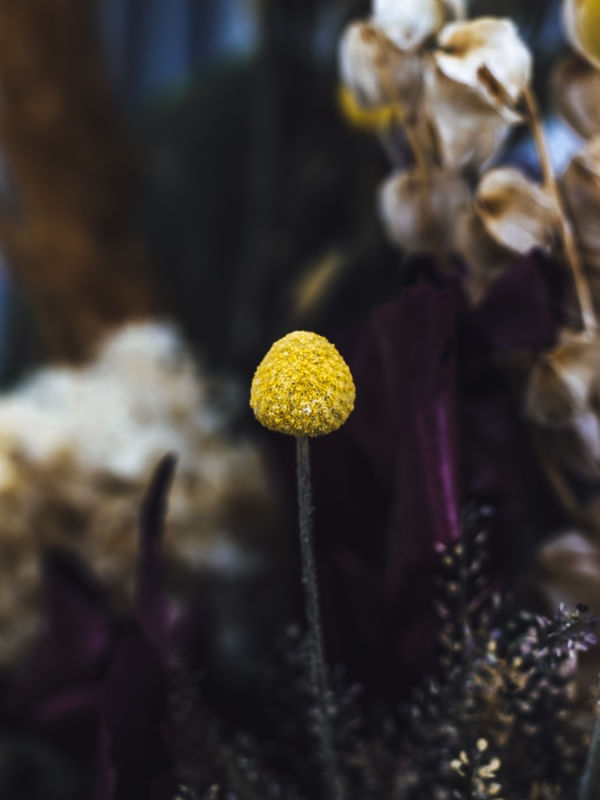YELLOW DOT