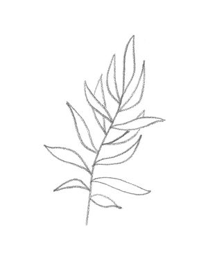 MINIMALISM GRAY BRANCH