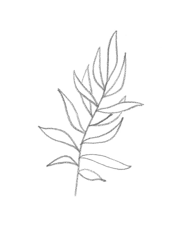 MINIMALISM GRAY BRANCH