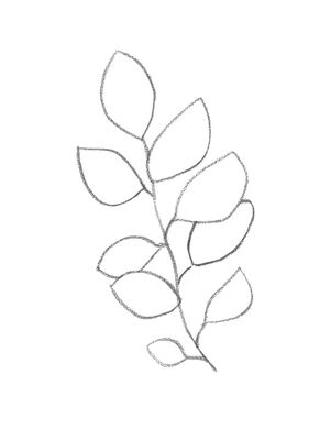 MINIMALISM PLANT BRANCH