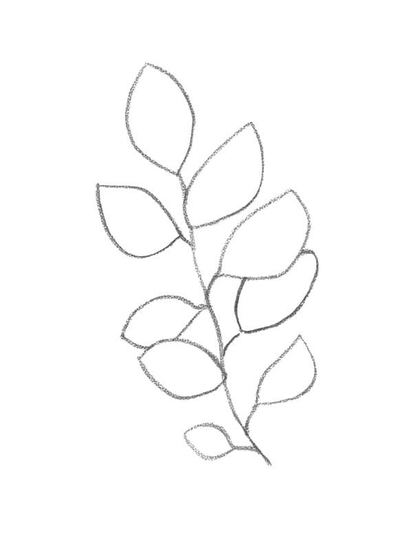 MINIMALISM PLANT BRANCH