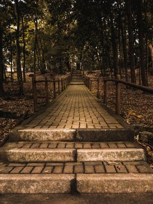 ESCADAS _LP