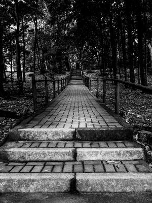 ESCADAS PB _ LP