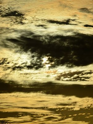 GPJ_210506601
