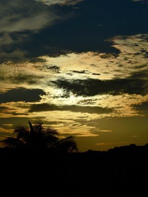 GPJ_210506604