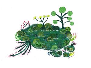 NOVO MUNDO VERDE