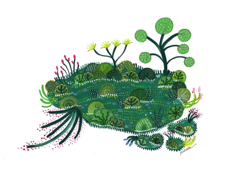 NOVO MUNDO VERDE