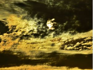 GPJ_210506598