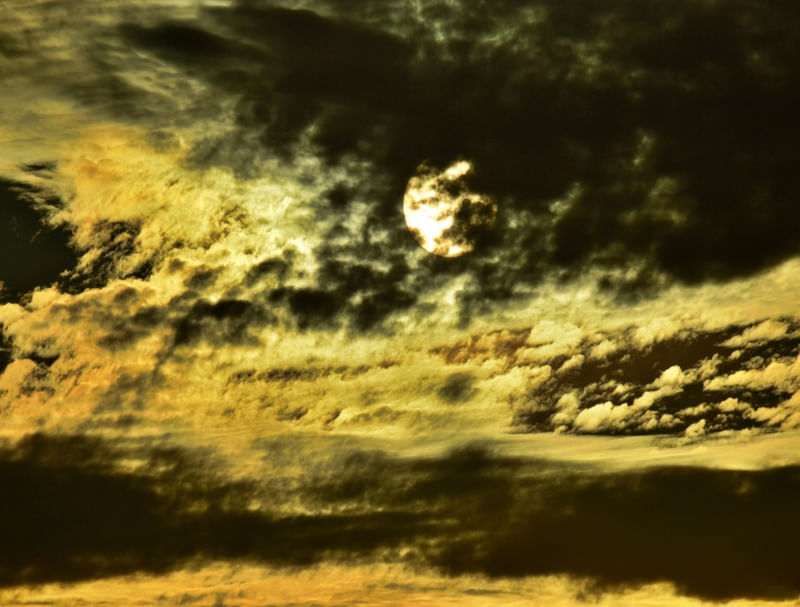 GPJ_210506598