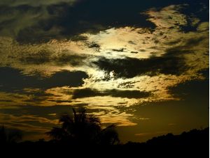 GPJ_210506599