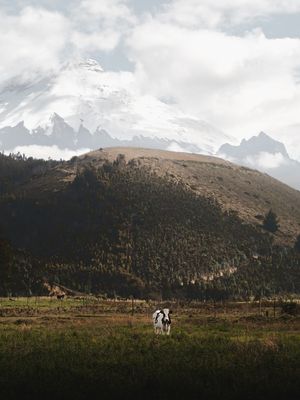 VULCÃO COTOPAXI #5