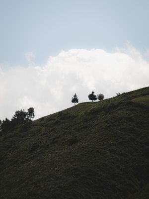 FOTOGRAFIA É POESIA #3
