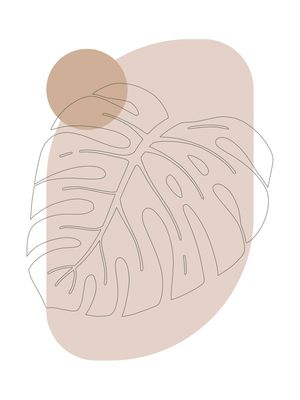 BOHO MONSTERA
