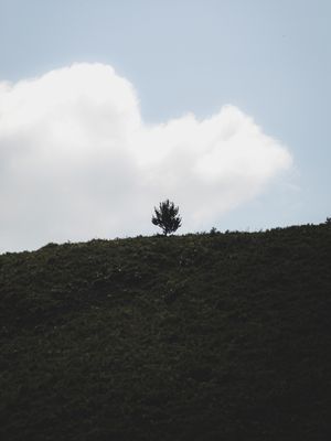 FOTOGRAFIA É POESIA #2