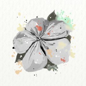 FLORAÇÃO 7
