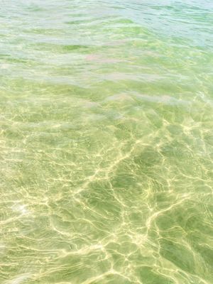 COMO NÃO A(MAR) O MAR