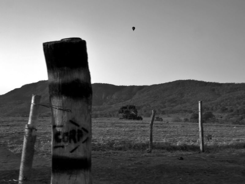GPJ_210801202-1