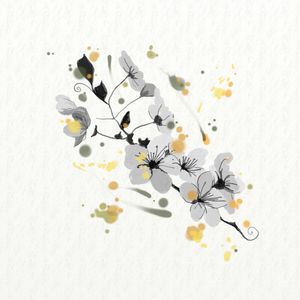 FLORAÇÃO 1