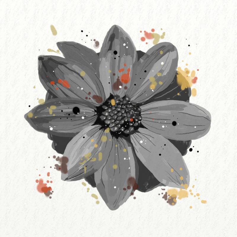 FLORAÇÃO 2