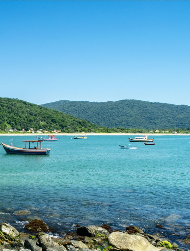 DIPTICO PONTA DAS CAMPANHAS - FLORIPA. PARTE II
