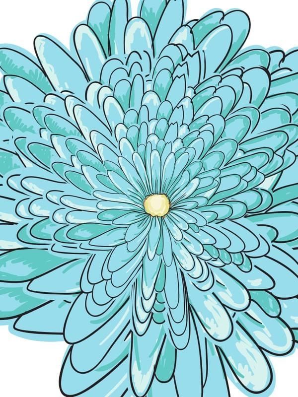 FLOR DA IMAGINAÇÃO