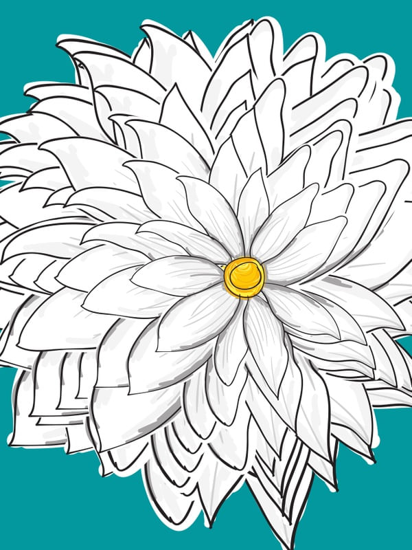 FLORES DA IMAGINAÇÃO