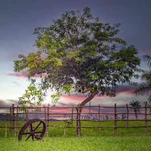 RODA DE ENGENHO