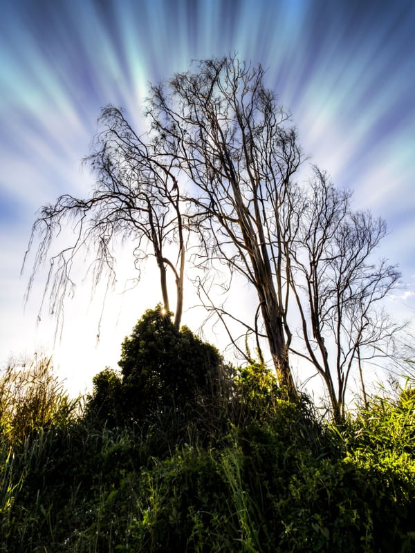 NATUREZA MORTA 10