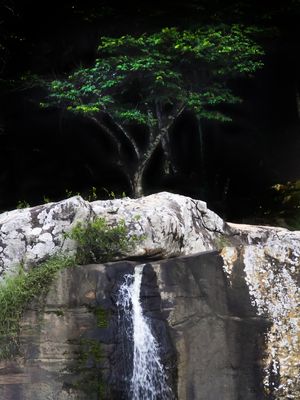 RAIZ D'ÁGUA