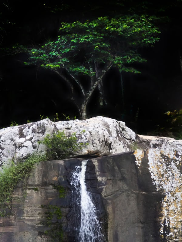 RAIZ D'ÁGUA