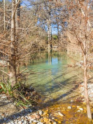 RIACHO EM FLORESTA NO INVERNO EM AUSTIN, TEXAS