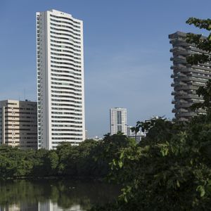 REFLEXO IV