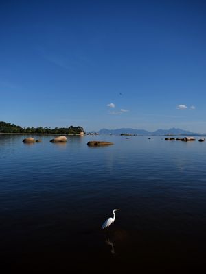 REFLEXO DA REFLEXÃO