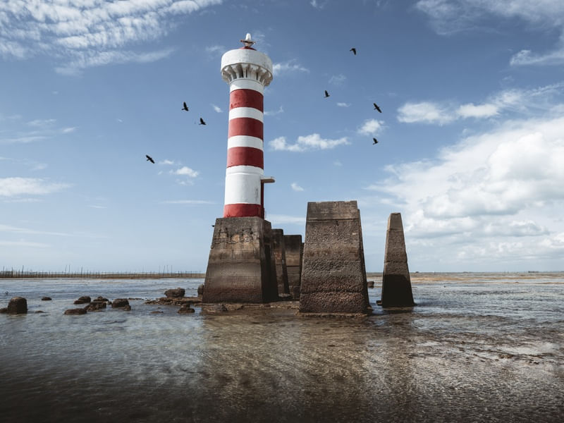A LUZ DO SOL NO FAROL